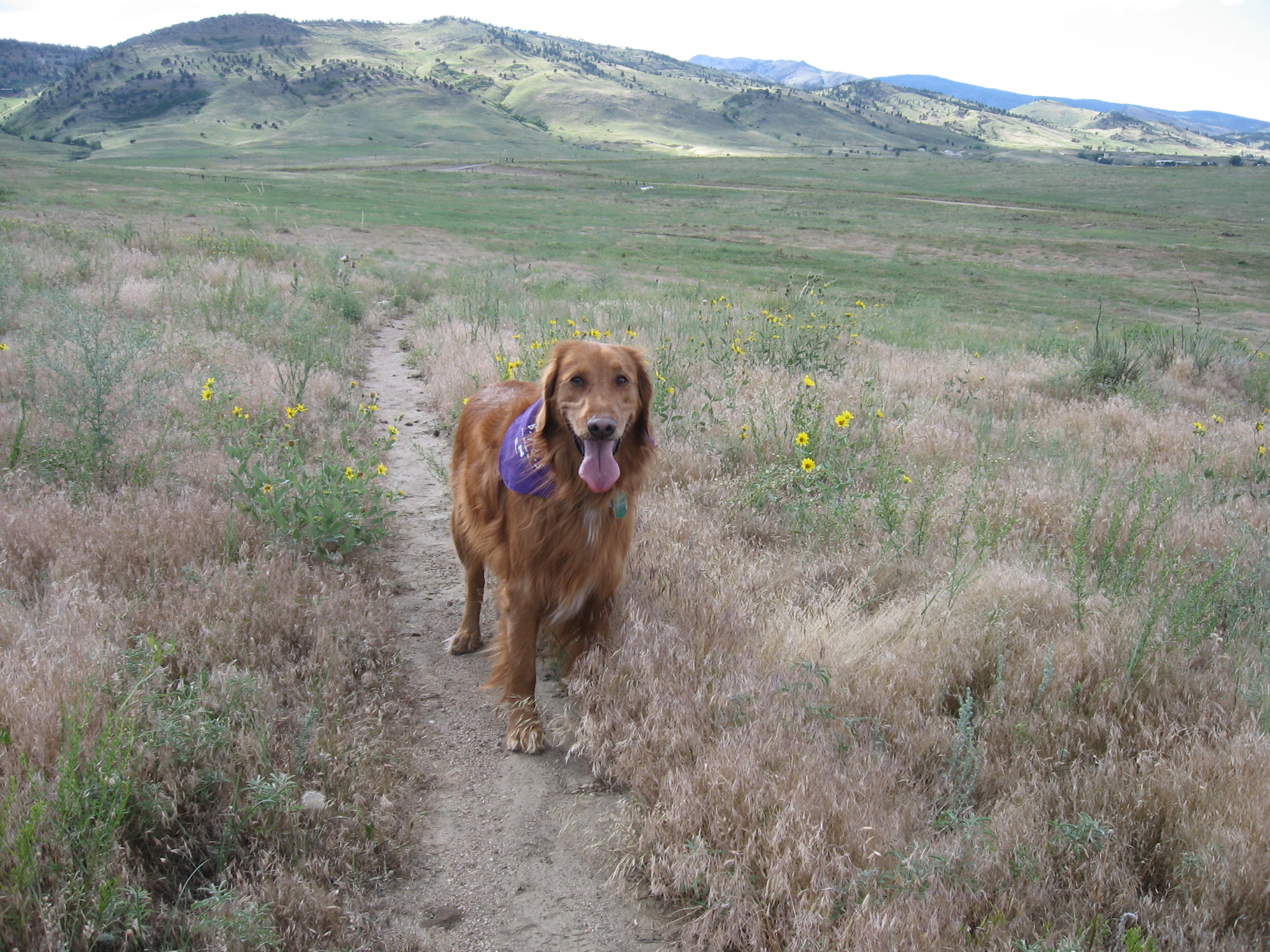 Harley2_BoulderValleyRanchOpenSpace_10July2010
