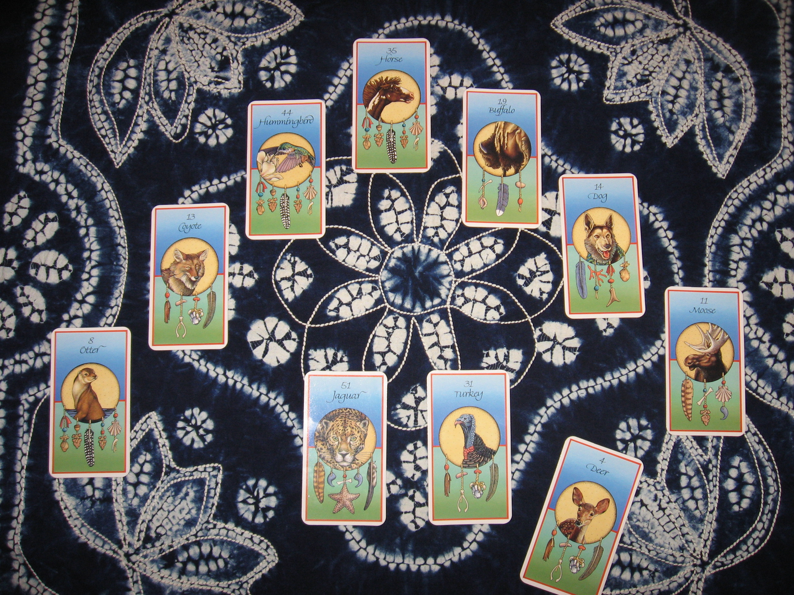 Totem Animal Spread Reading - Turtle Healing Energy and Erika M. Schreck
